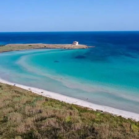 Nuovissima Di Lusso Con Piscina Immensa E Giardino Vila Cisternino